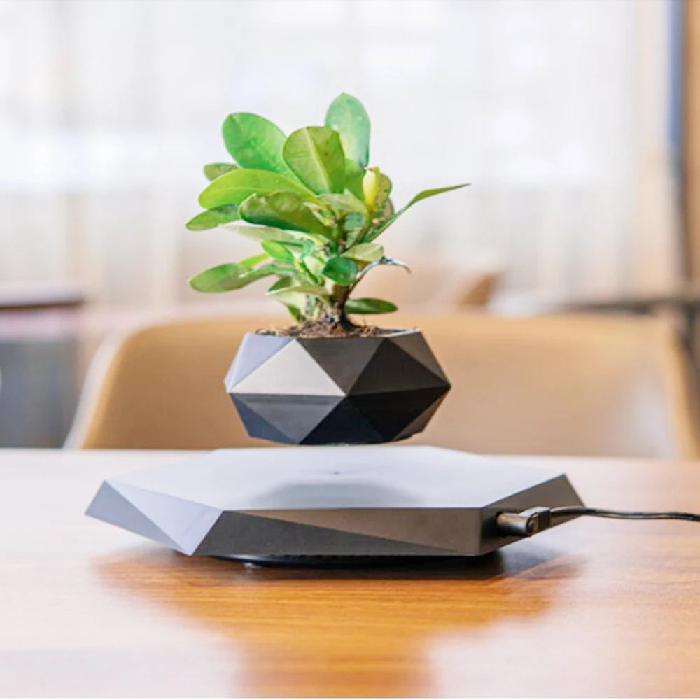 Grow in Mid-Air – Magnetic Levitating Flower Pot That Turns Plants into Floating Art