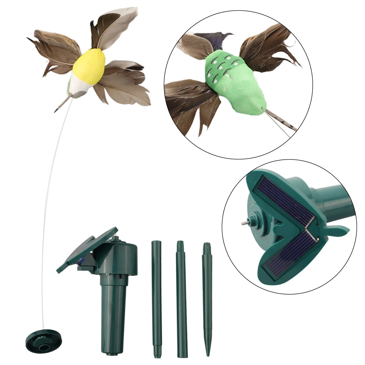 Fluttering Magic — Transform Your Garden Into a Living Haven!