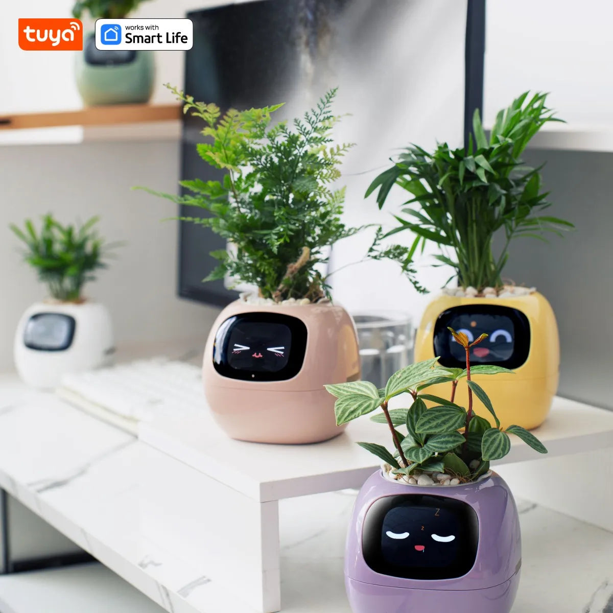 Grow with a Smile – Tuya Ivy Smart Planter with 49 Emotions & AI That Brings Your Plant to Life