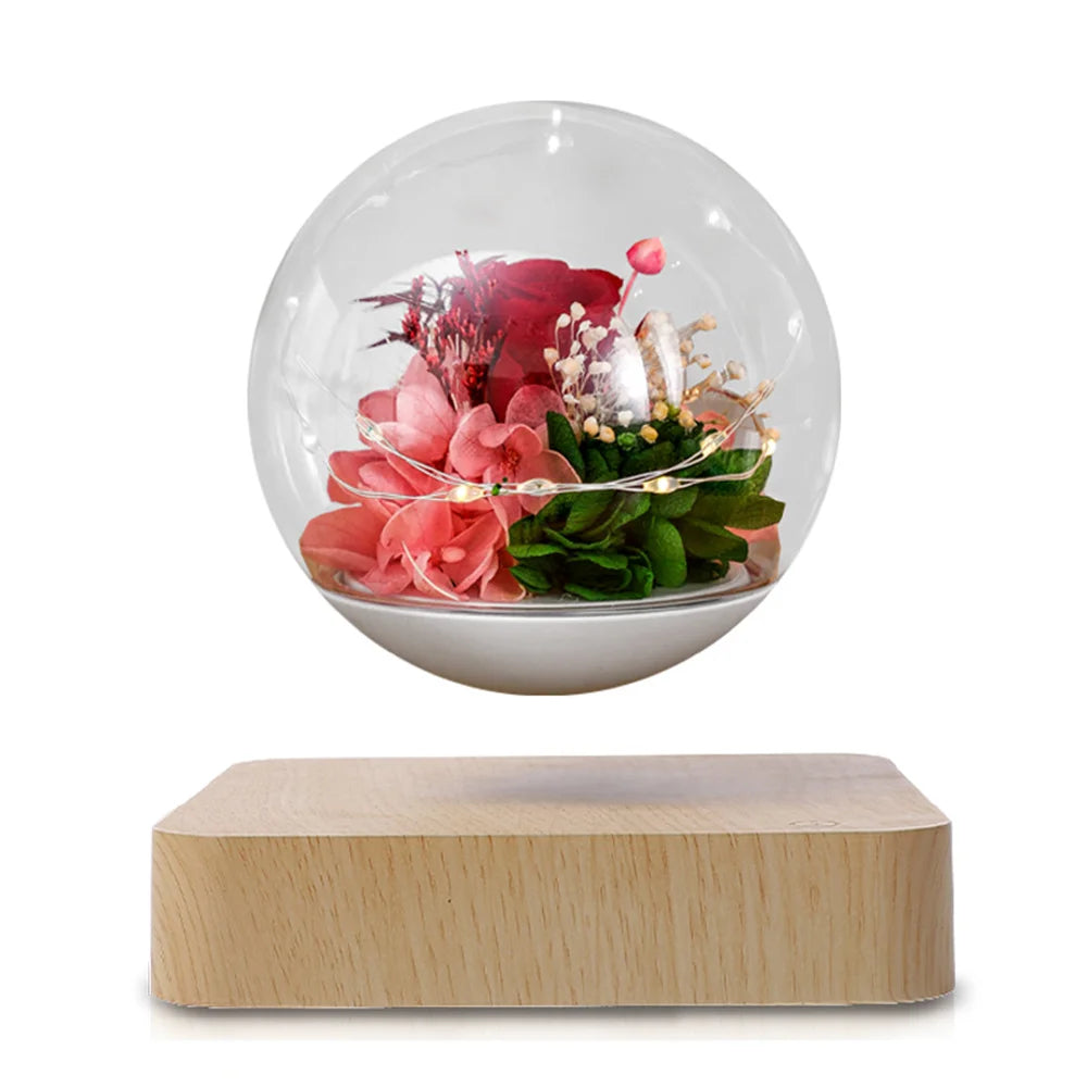 Grow in Mid-Air – Magnetic Levitating Flower Pot That Turns Plants into Floating Art