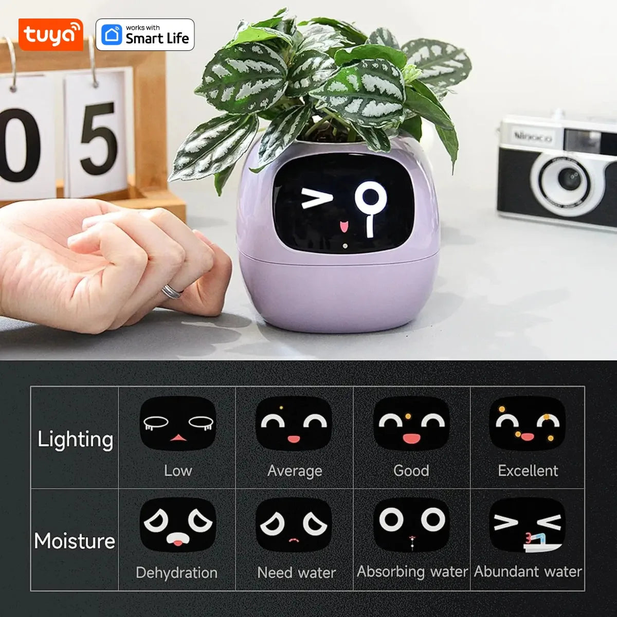 Grow with a Smile – Tuya Ivy Smart Planter with 49 Emotions & AI That Brings Your Plant to Life