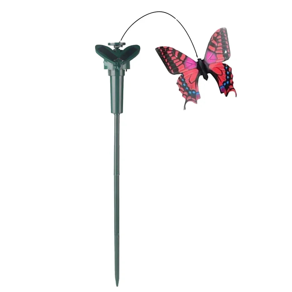 Fluttering Magic — Transform Your Garden Into a Living Haven!