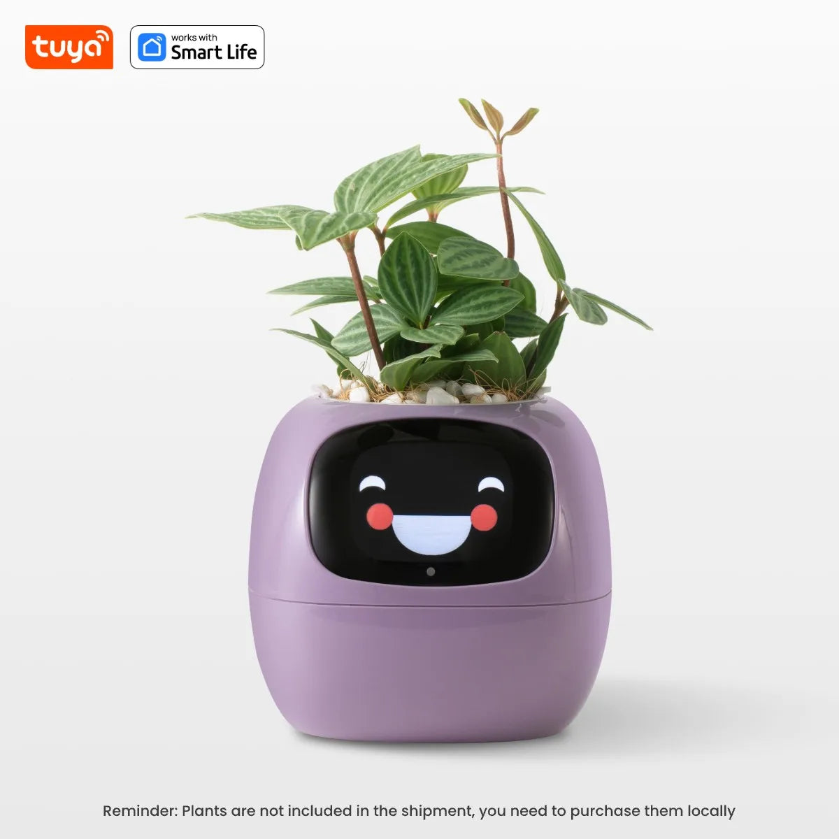 Grow with a Smile – Tuya Ivy Smart Planter with 49 Emotions & AI That Brings Your Plant to Life