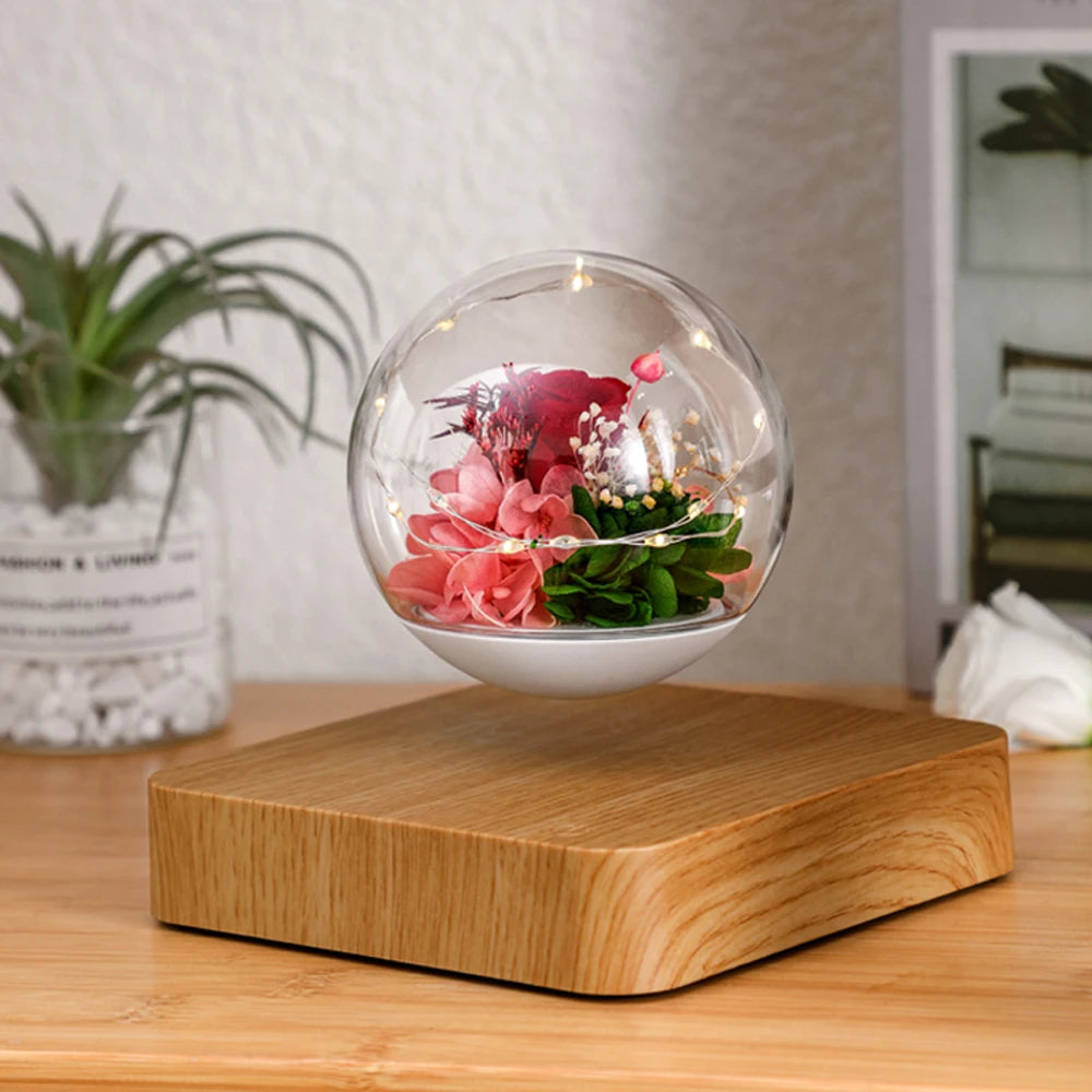 Grow in Mid-Air – Magnetic Levitating Flower Pot That Turns Plants into Floating Art