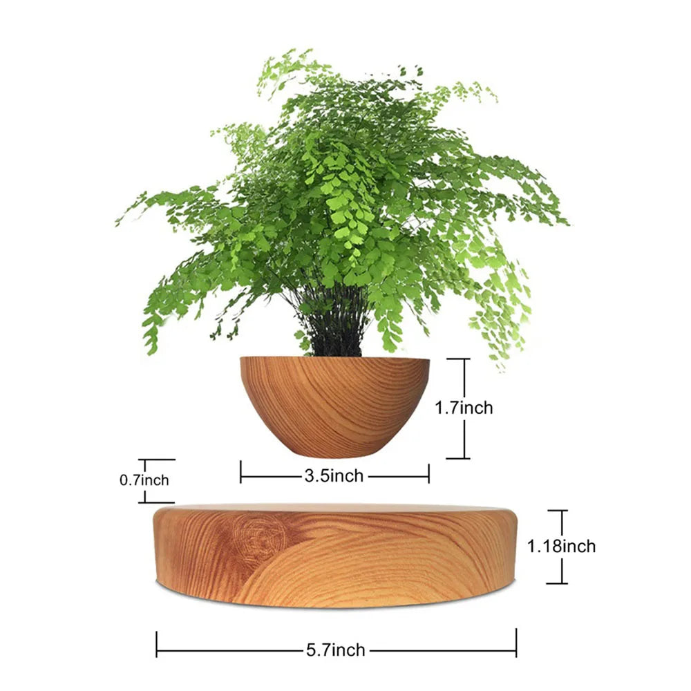 Grow in Mid-Air – Magnetic Levitating Flower Pot That Turns Plants into Floating Art