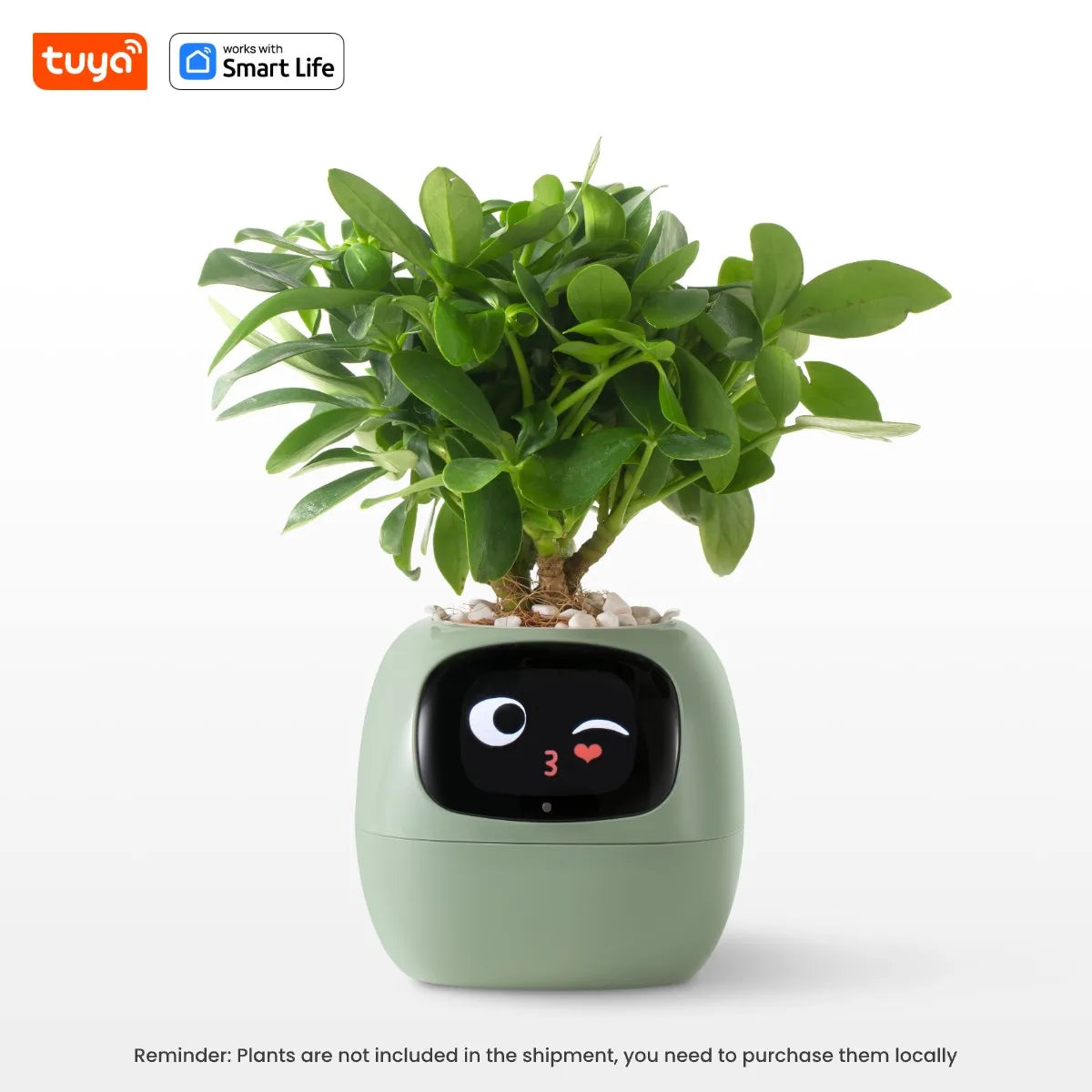 Grow with a Smile – Tuya Ivy Smart Planter with 49 Emotions & AI That Brings Your Plant to Life