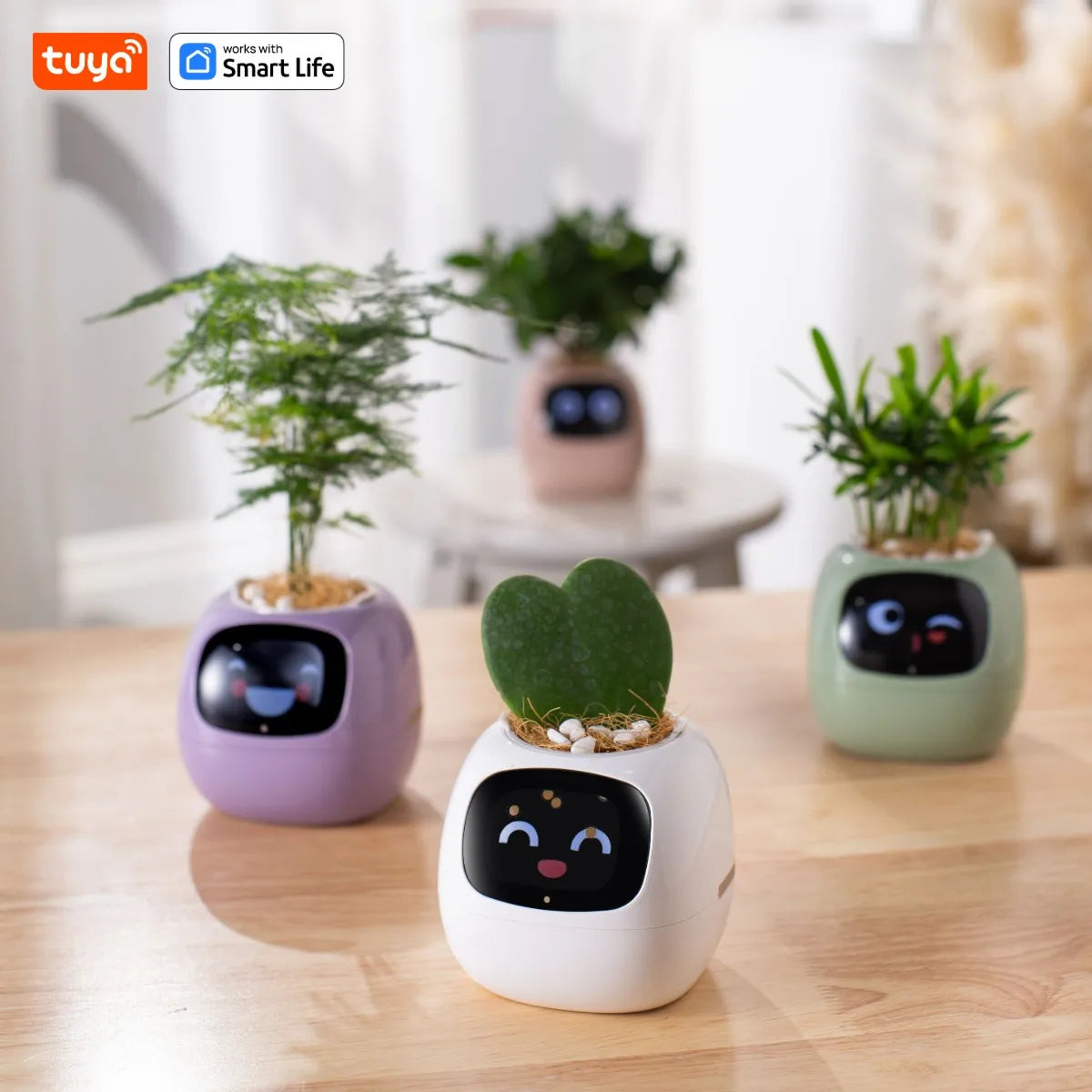 Grow with a Smile – Tuya Ivy Smart Planter with 49 Emotions & AI That Brings Your Plant to Life