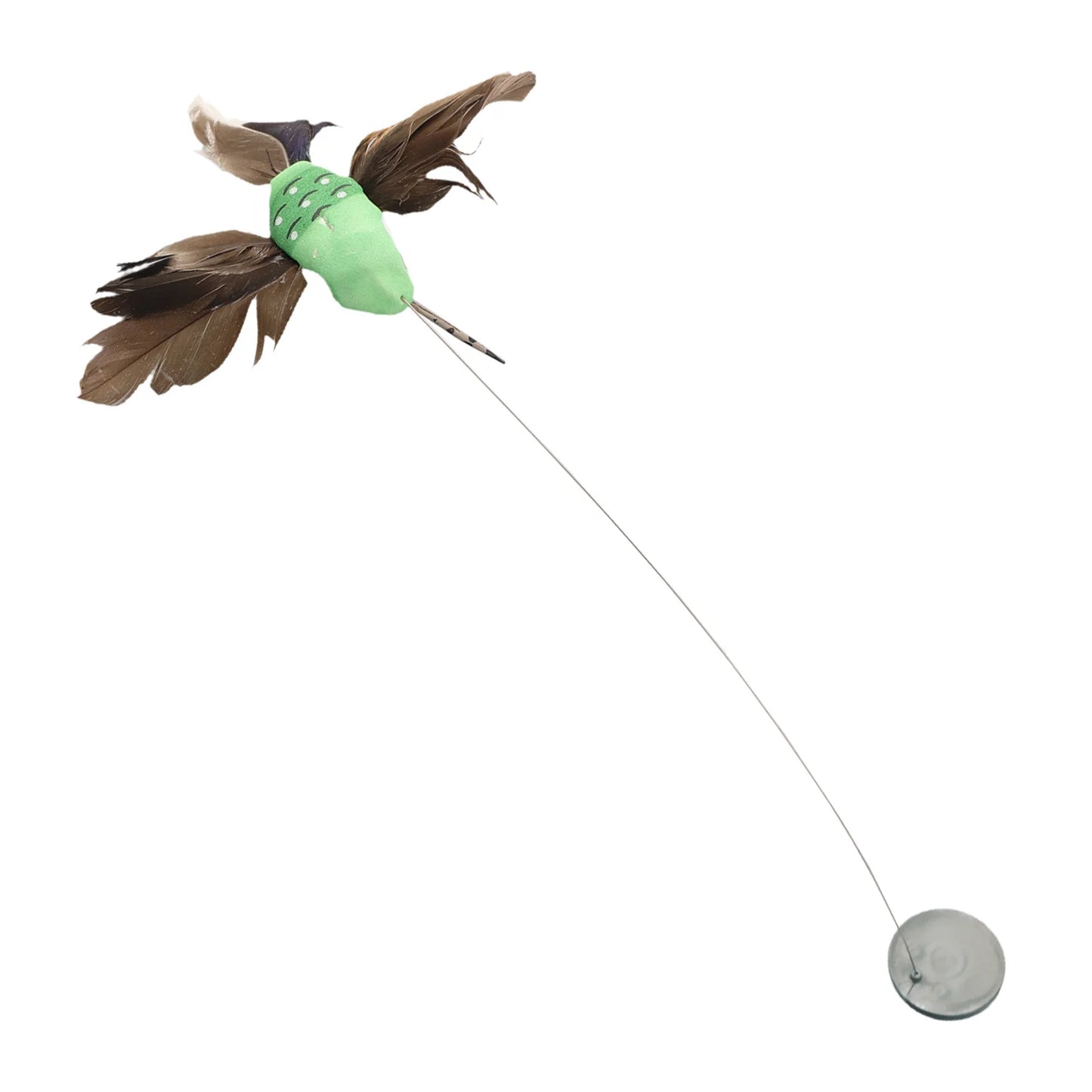 Fluttering Magic — Transform Your Garden Into a Living Haven!