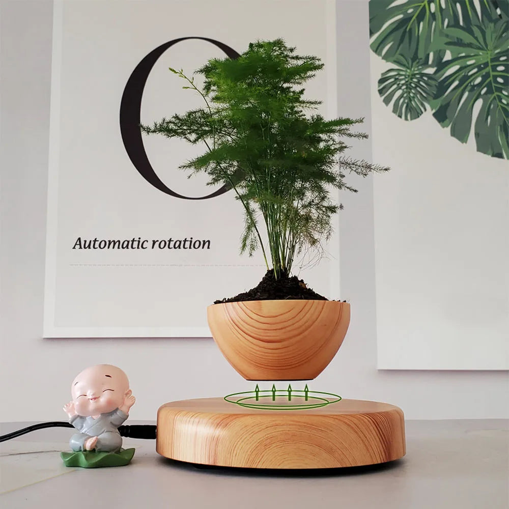 Grow in Mid-Air – Magnetic Levitating Flower Pot That Turns Plants into Floating Art