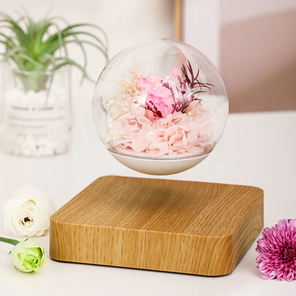 Grow in Mid-Air – Magnetic Levitating Flower Pot That Turns Plants into Floating Art