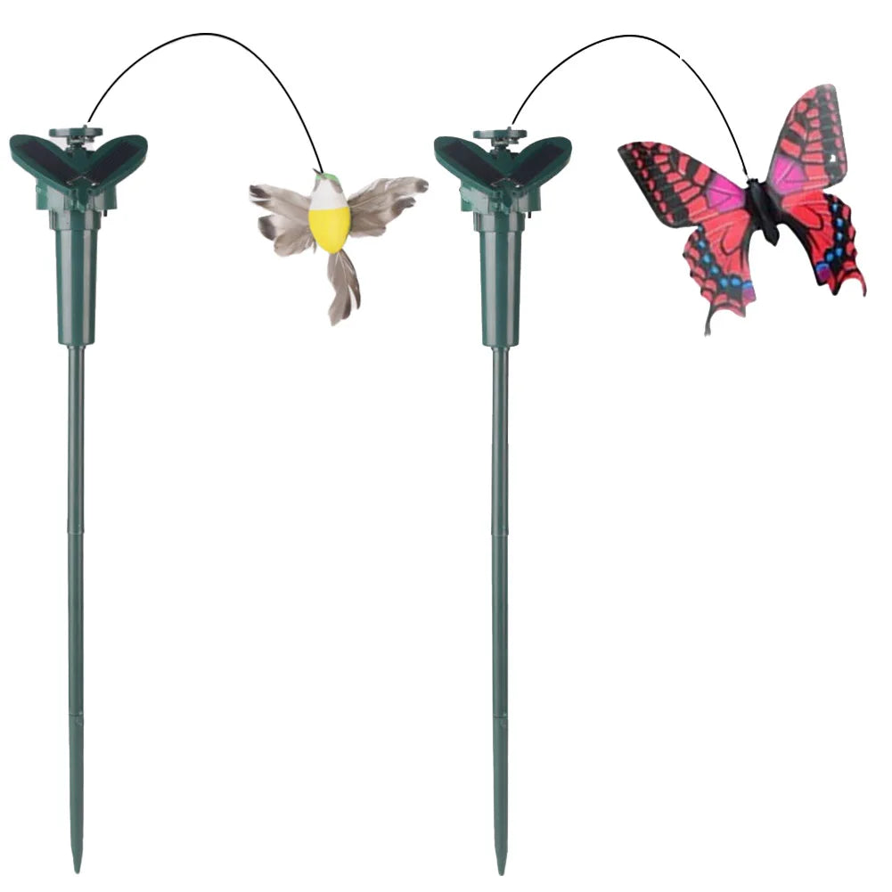 Fluttering Magic — Transform Your Garden Into a Living Haven!