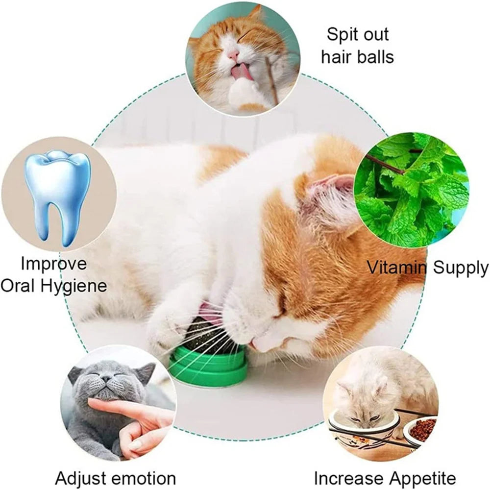 Natural Catnip Balls Lickable Cat Grass Snack Kitten Scratchers Toy Treats Chewing Fresh Breath For Small Medium Pet Cat