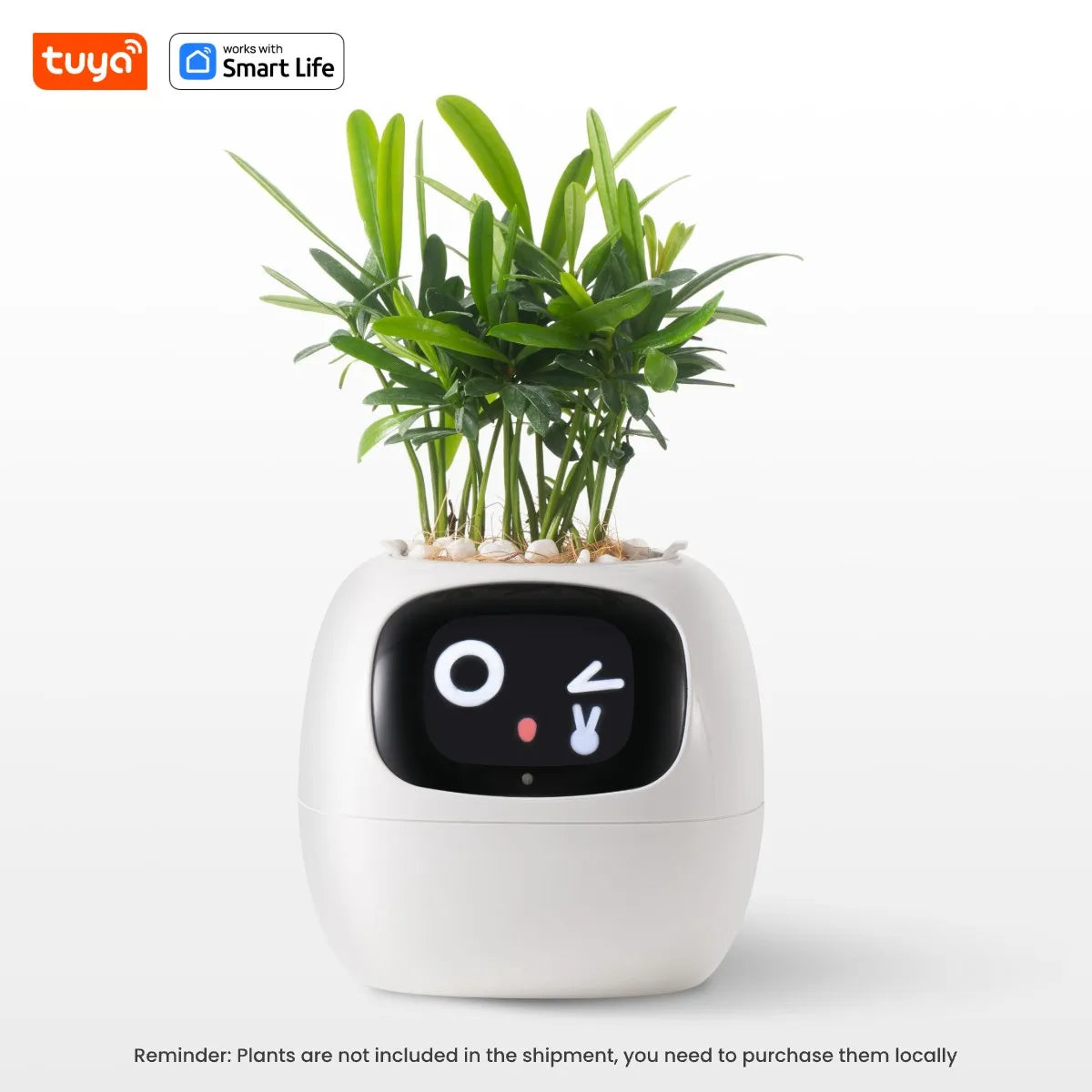 Grow with a Smile – Tuya Ivy Smart Planter with 49 Emotions & AI That Brings Your Plant to Life