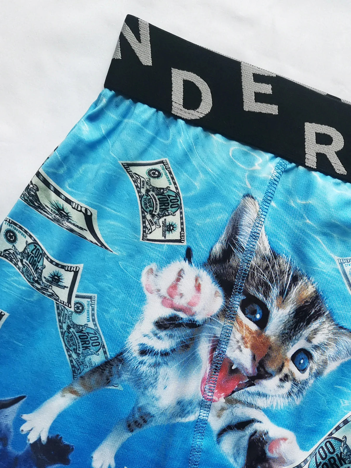 Fashion Men's 3D Cat Printed Funny Pattern Tilament Pants Breathable and Comfortable Fast Dry Sport Boxers Briefs Plus Size