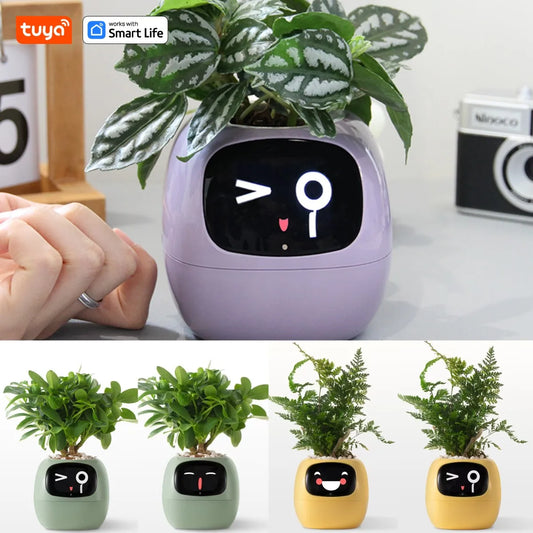 Grow with a Smile – Tuya Ivy Smart Planter with 49 Emotions & AI That Brings Your Plant to Life
