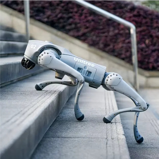 Unitree Go2 Robot Dog | Quadruped Robotics for Adults Embodied AI