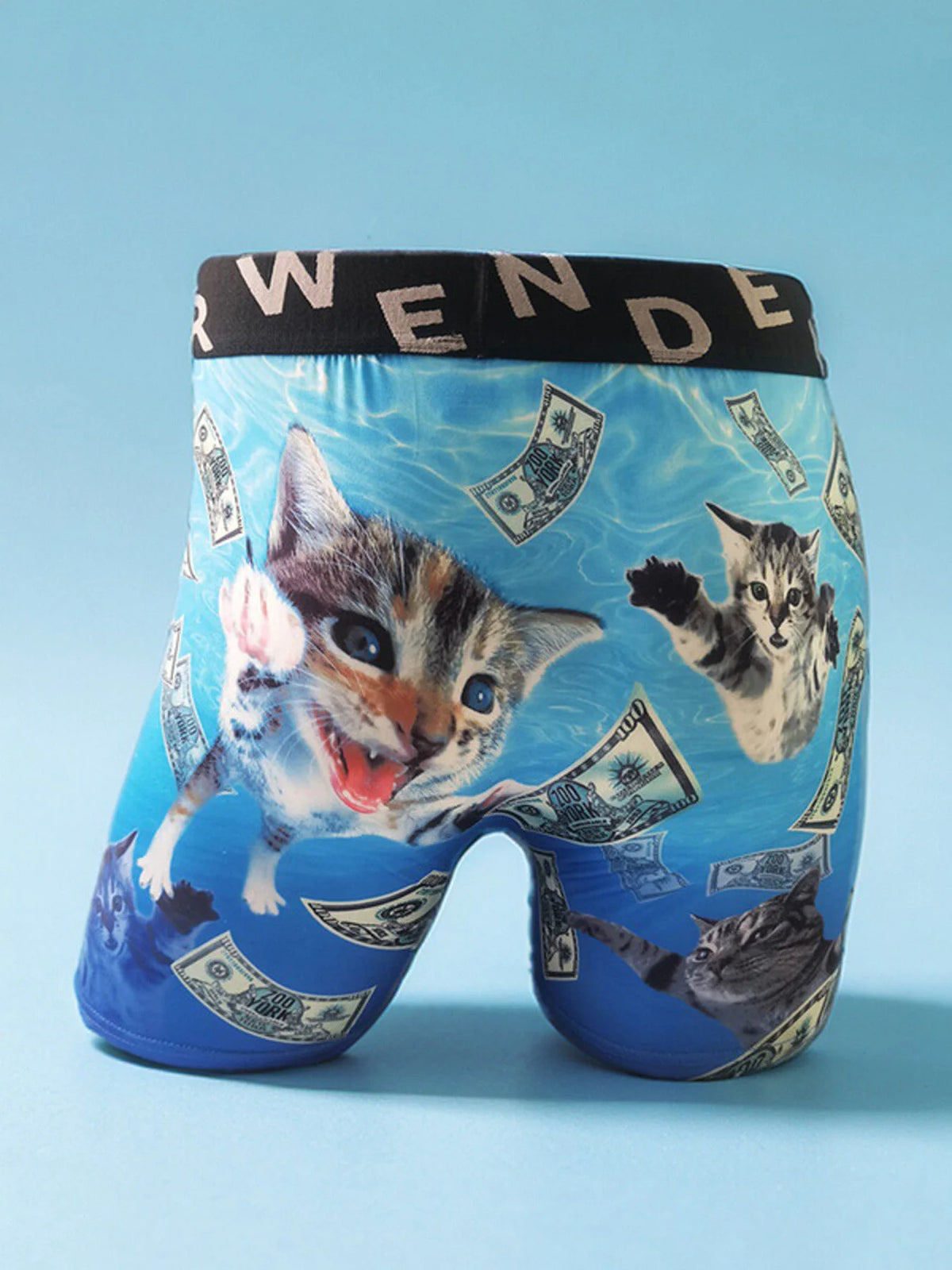 Fashion Men's 3D Cat Printed Funny Pattern Tilament Pants Breathable and Comfortable Fast Dry Sport Boxers Briefs Plus Size