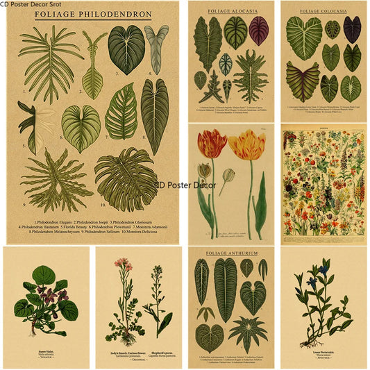 Botanical Illustration Poster Plant Leaf Flower Kraft Paper Posters Vintage Home Room Bar Cafe Decor Aesthetic Art Wall Painting