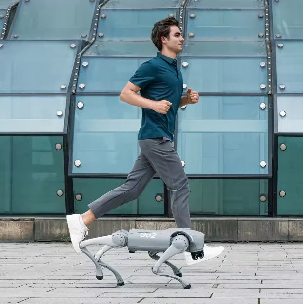 Unitree Go2 Robot Dog | Quadruped Robotics for Adults Embodied AI