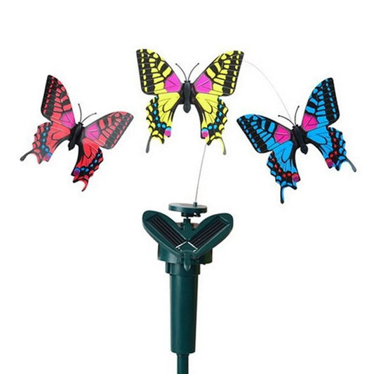 Fluttering Magic — Transform Your Garden Into a Living Haven!